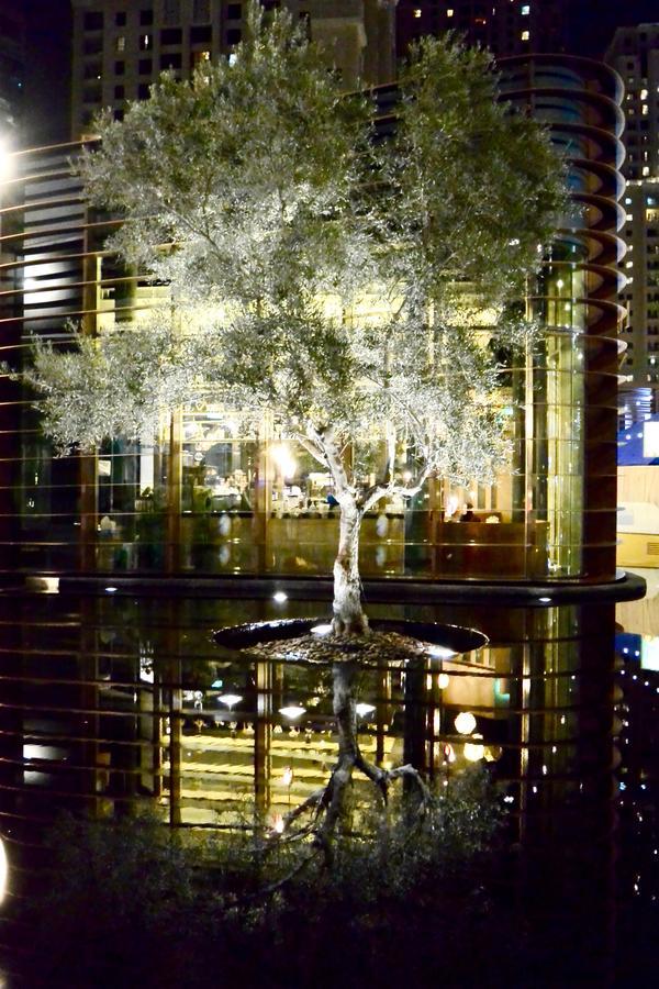 The Beach Residence Dubai Exterior foto